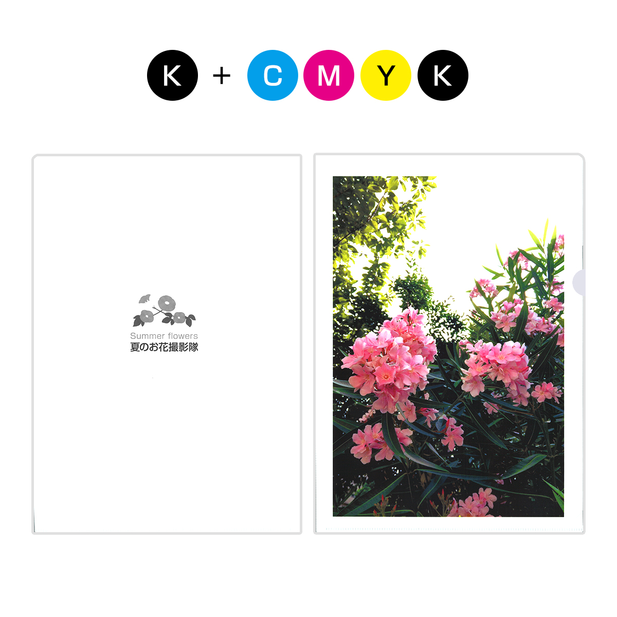 オリジナルクリアファイル 表面カラー裏面モノクロ 乳白色 Cf Olg Mck 名入れクリアファイルの専門店 クリアファイル Com